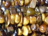 Tiger Eye(Yellow)  Uncut Chips First Quality