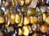 Tiger Eye (Yellow) Uncut Chips Regular