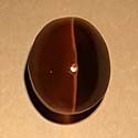 Original Sillimanite golden color cat's eye from orissa gems