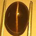 Original Sillimanite golden color cat's eye from orissa gems