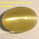 Natural Chrysoberyl cat's eye gems from orissa gems