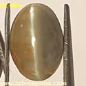 Natural Chrysoberyl cat's eye gems from orissa gems