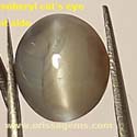Natural Chrysoberyl cat's eye gems from orissa gems