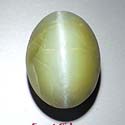 Chrysoberyl Cat's eye gems from orissa gems